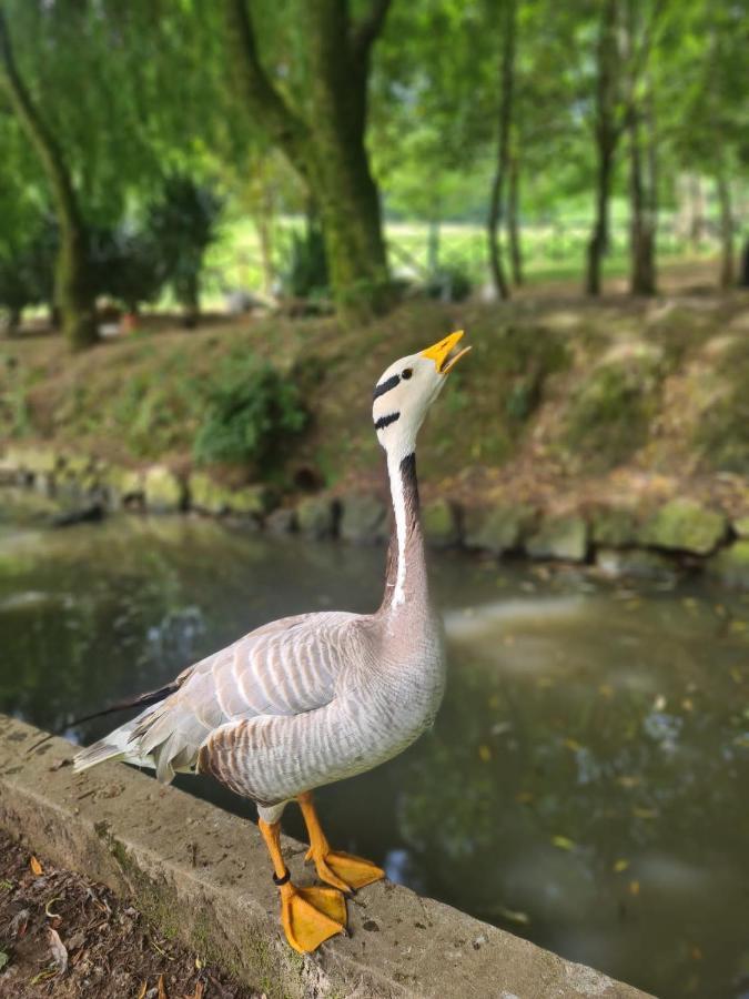 Agroturismo Anziola Oiartzun Luaran gambar